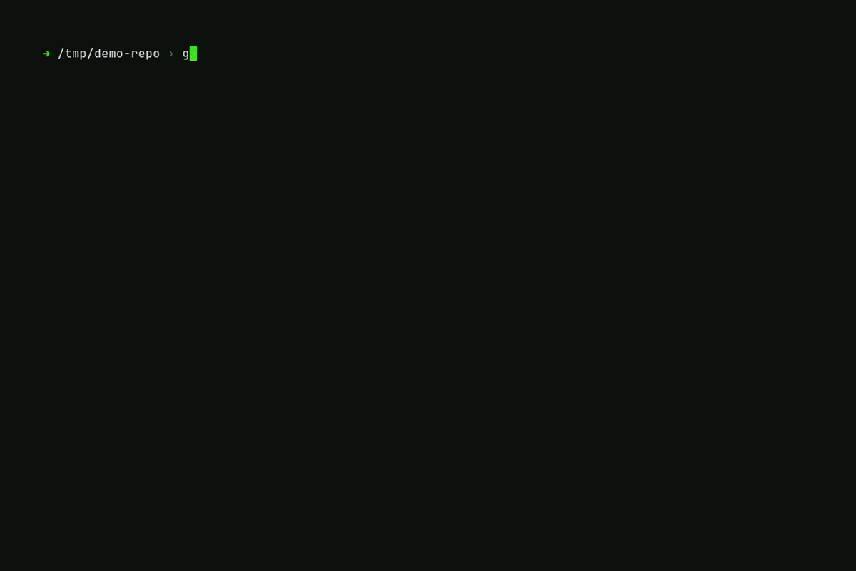 imp resolve terminal recording